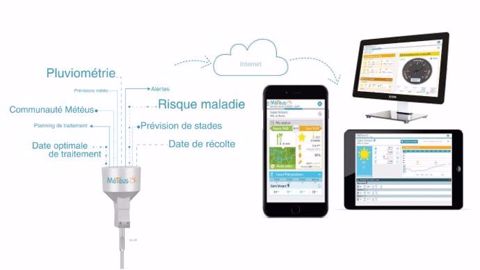 Le partenariat avec Isagri autour des stations météo connectées et le lancement de l’application digitale Mes Risques s’inscrivent dans le projet global Initiatives Agricoles conduit par Groupama. (©Isagri)