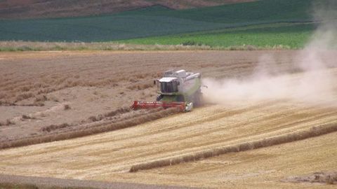 Le déficit hydrique se creuse en Europe de l'ouest et sur les pays baltes. (©Terre-net Média)