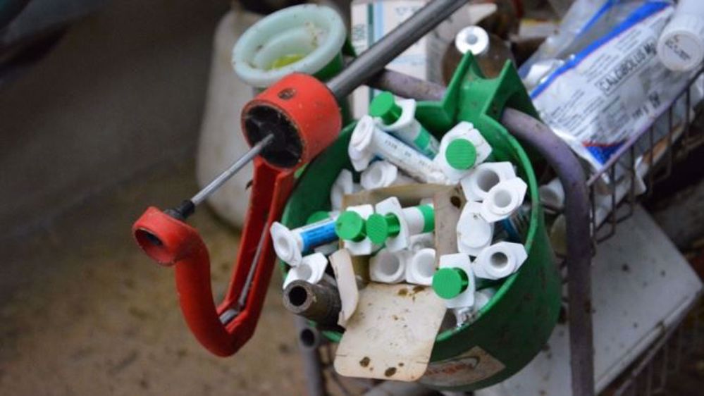 L'exposition des animaux d'élevage aux antibiotiques a reculé de 20 % en deux ans selon le ministère de l'agriculture. (©Terre-net Média)