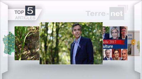 Articles les plus lus cette semaine sur Terre-net (©Terre-net Média)