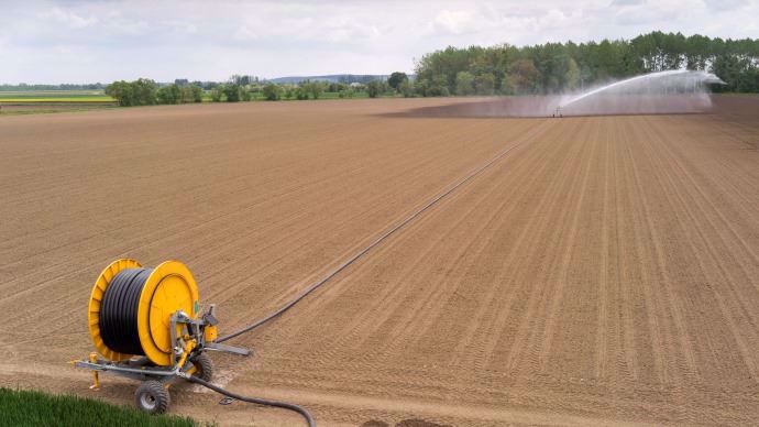 Irrigation après semis