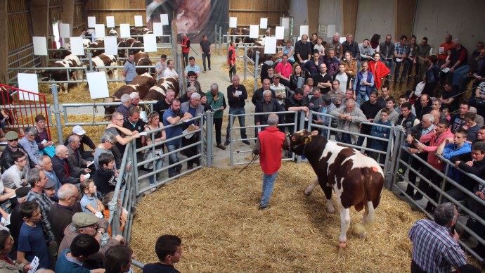 Vente rouge des prés du 12 avril 2017 
