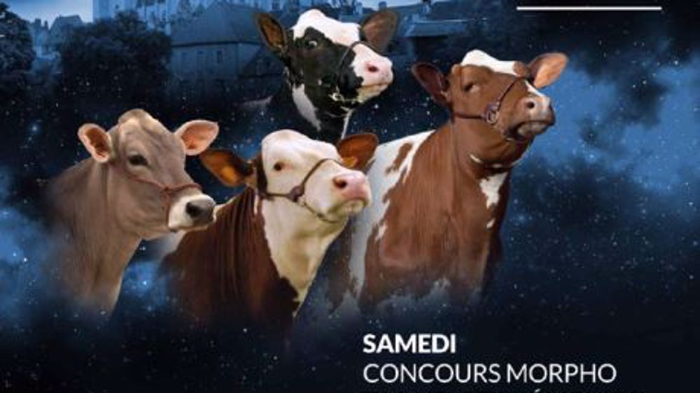 Affiche du Show open génisses 2017. (©DR)