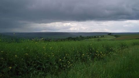 Le règlement Omnibus voté par la commission agriculture du Parlement européen envisage d'assouplir les critères imposés pour les outils de gestion des risques, au premier rang desquels figure l'assurance récolte. (©Terre-net Média) Le règlement Omnibus voté par la commission agriculture du Parlement européen envisage d'assouplir les critères imposés pour les outils de gestion des risques, au premier rang desquels figure l'assurance récolte. (©Terre-net Média)