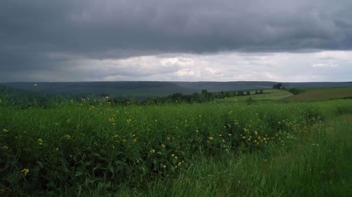 Le règlement Omnibus voté par la commission agriculture du parlement européen envisage d'assouplir les critères imposés pour les outils de gestion des risques, au premier rang desquels figure l'assurance récolte.