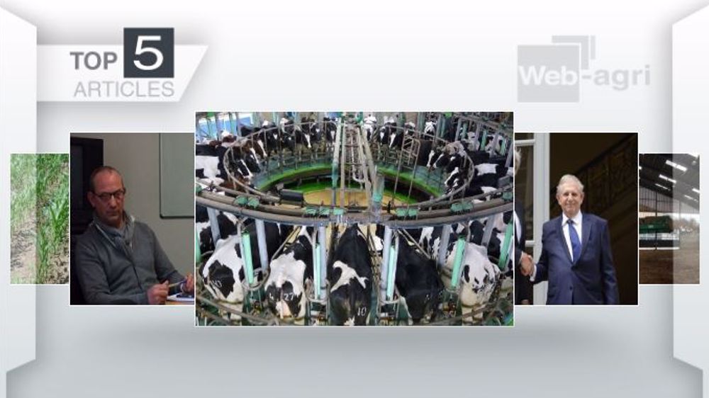 Articles les plus lus cette semaine sur Web-agri (©Terre-net Média)