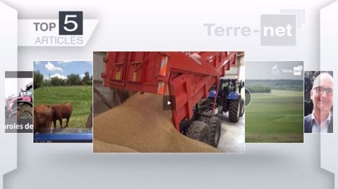 Articles les plus lus cette semaine sur Terre-net. (©Terre-net Média)