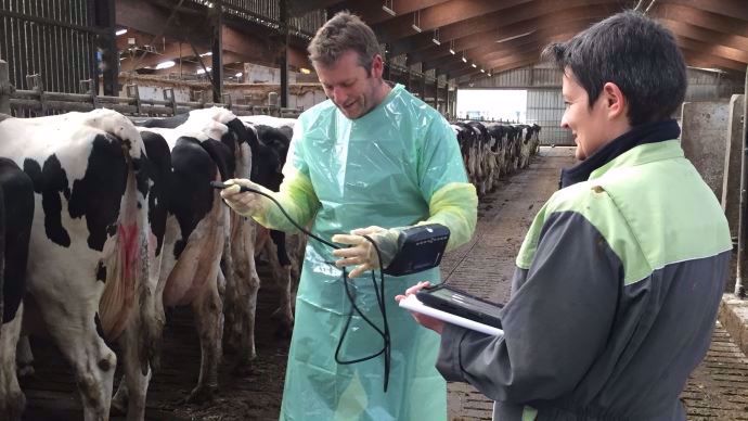 eleveur et veterinaire utilisant milkup de vetosoft