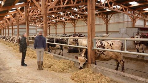 En France et dans les trois autres pays étudiés, la Cour des comptes critique surtout le manque de ciblage pour l'attribution des aides européennes aux jeunes agriculteurs. (©Watier visuels) 