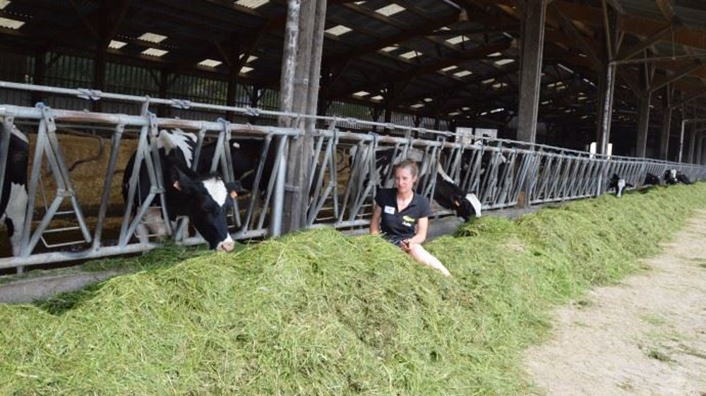 Cinq ans après son installation dans un Gaec laitier, Julie Collin-Renard s’épanouit dans son métier. (©Terre-net Média)