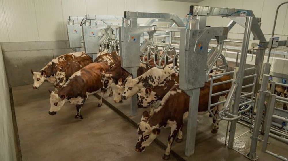 SmartWay 90 : le système de traite innovant Boumatic (©Boumatic) 