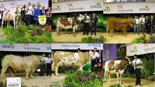 Palmarès, photos et vidéos de tous les concours bovins du Space Palmarès, photos et vidéos de tous les concours bovins du Space