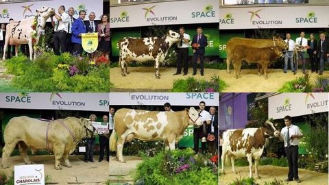 Palmarès, photos et vidéos de tous les concours bovins du Space
