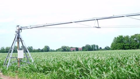 Les ministres souhaitent rentre l'irrigation plus efficiente en réduisant notamment les pertes dans les réseaux. (©Terre-net Média)
