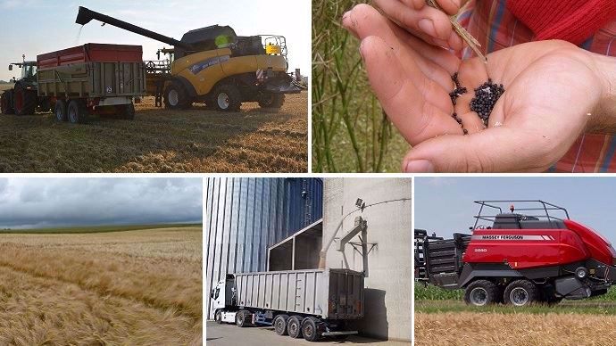 Les articles les plus lus sur Terre-net cette semaine. 