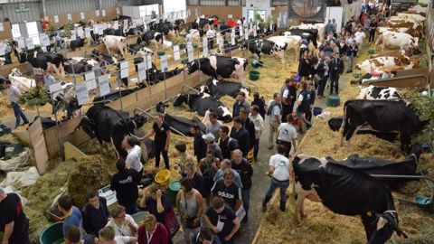 Le Space 2016 avait accueilli 101 963 visiteurs et 1 447 exposants pour sa 30e édition. Combien serez-vous cette année ? (©Space) Le Space 2016 avait accueilli 101 963 visiteurs et 1 447 exposants pour sa 30e édition. Combien serez-vous cette année ? (©Space)