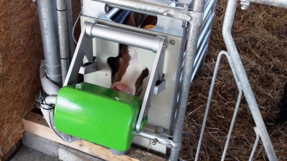 La fonction "apprentissage" de l'Activity box permet d'aider le veau à comprendre le fonctionnement de la tétine lors de ses premières tétées. (©Agid) La fonction "apprentissage" de l'Activity box permet d'aider le veau à comprendre le fonctionnement de la tétine lors de ses premières tétées. (©Agid)