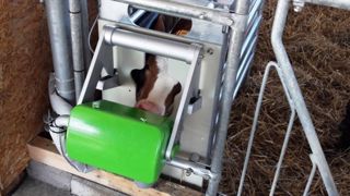 La fonction "apprentissage" de l'Activity box permet d'aider le veau à comprendre le fonctionnement de la tétine lors de ses premières tétées. (©Agid) La fonction "apprentissage" de l'Activity box permet d'aider le veau à comprendre le fonctionnement de la tétine lors de ses premières tétées. (©Agid)