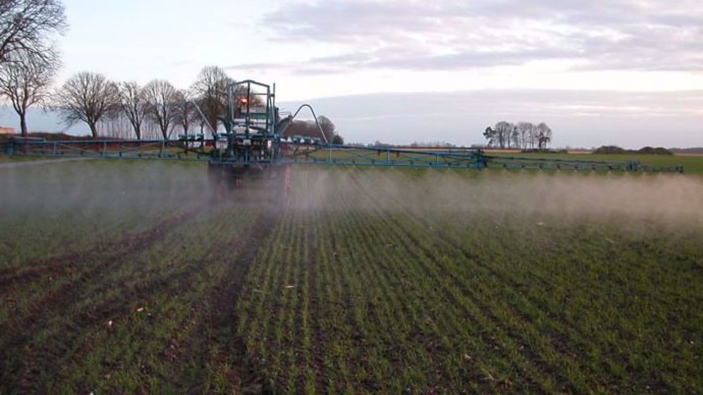 La France votera contre la réautorisation pour dix ans du glyphosate.  (©Terre-net Média)