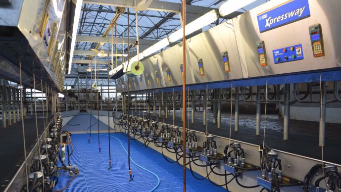Salle de traite 28 postes Boumatic
