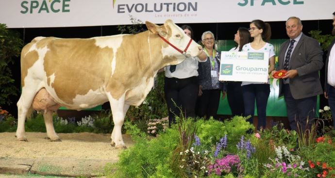 Daphnée (Bosna x Rumba), meilleure vache en cours de 4ème lactation ou plus