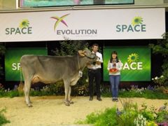 LBB Lalice a été désignée grande championne brune. (©Arsoe) LBB Lalice a été désignée grande championne brune. (©Arsoe)