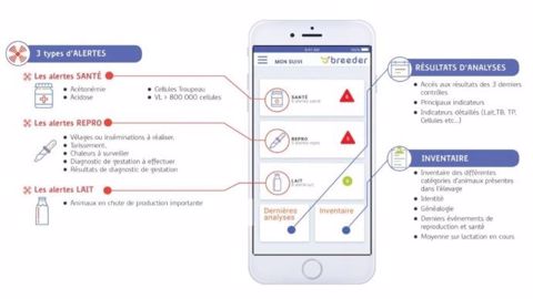 L'application Breeder d'Eilyps comprend actuellement les modules alertes, résultats d'analyse et inventaire. (©Eilyps)