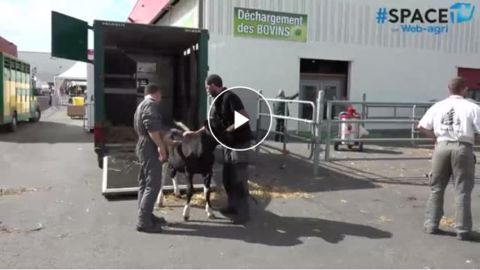 Dans les coulisses du salon international des productions animales