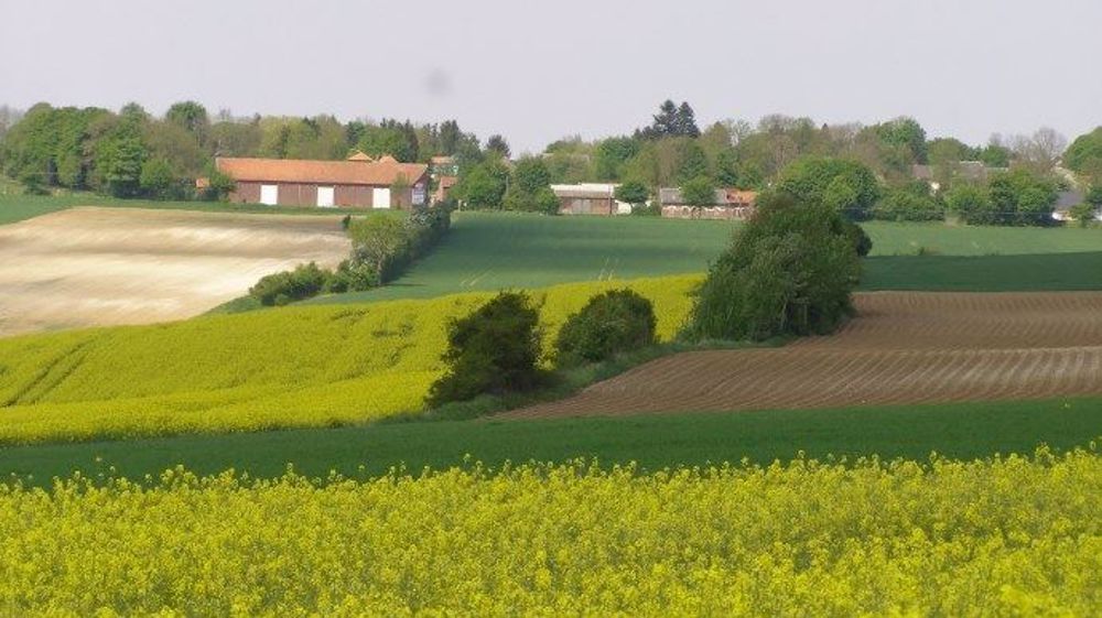 Selon Momagri, le groupe des eurodéputés PPE au Parlement européen vient de recommander le statu quo et le report de la réforme de la Pac à après 2024. (©Terre-net Média)