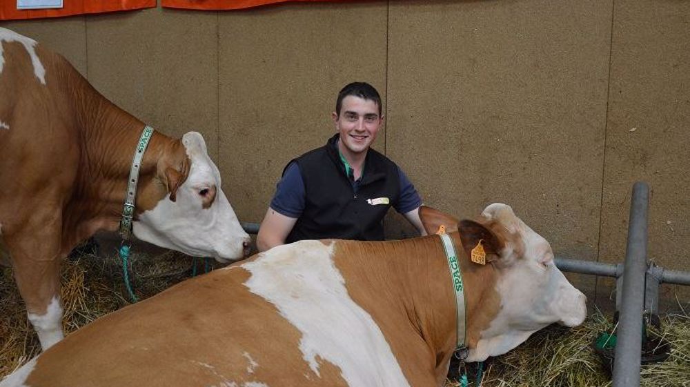 Fabien Lebrun et sa vache simmental Johanna. (©Cécile Julien)