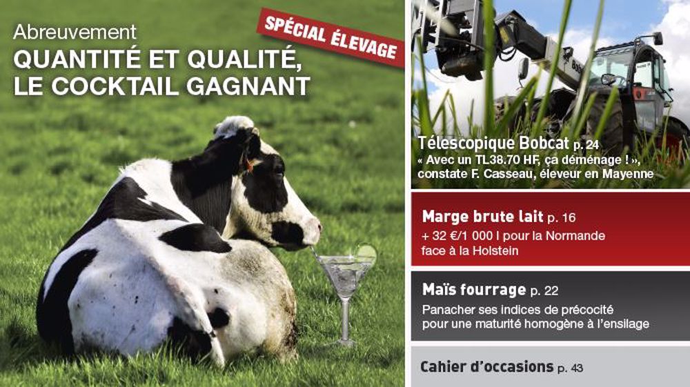 <a href="https://www.terre-net.fr/magazine#utm_campaign=TNMagazine&utm_source=Colonne-droite&utm_medium=BMK" target="_blank">Consulter Terre-net Magazine en ligne ICI.</a> (©Fotolia, Terre-net Média // Création Terre-net Média)