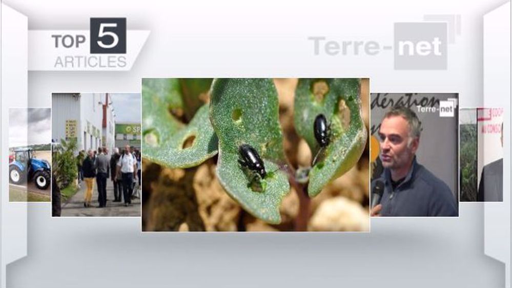Articles les plus lus de la semaine sur Terre-net. (©Terre-net Média)