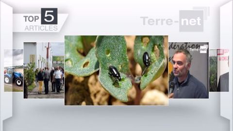 Articles les plus lus de la semaine sur Terre-net. (©Terre-net Média)