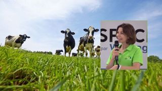 Phix-up : un concentré de magnésium pour les phases à risques Phix-up : un concentré de magnésium pour les phases à risques