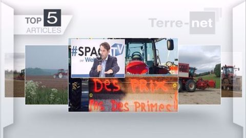 Articles les plus lus de la semaine sur Terre-net. (©Terre-net Média)