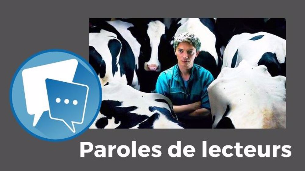 « Je suis sortie avec une boule dans la gorge, la vache... », raconte Amélie. (©DR)
