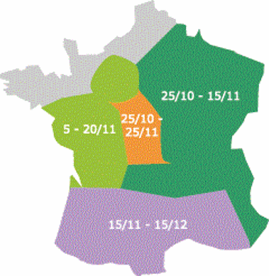 Périodes optimales pour semer du pois d'hiver