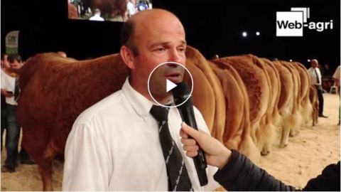 [Vidéo] Le Gaec Camus gravit le Sommet de la race limousine