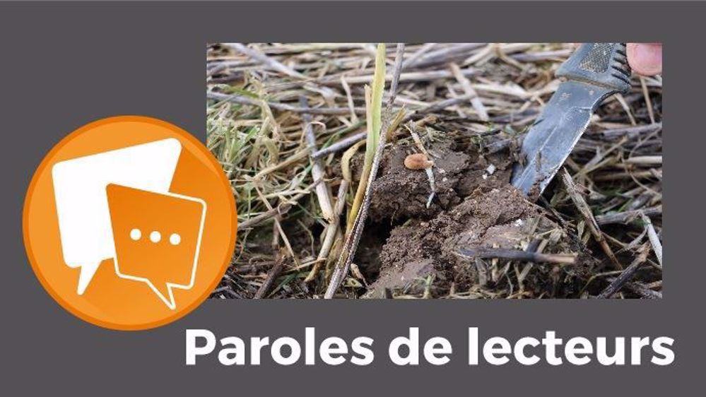  « Labourer un an sur deux ne menace pas les vers de terre », estime Mouarf. (©Terre-net Média)
