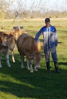L'ensemble des veaux de la ferme est vendu à une boucherie sur Revel 