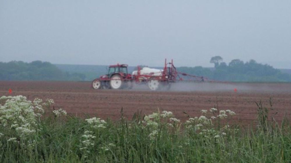  Les eurodéputés se sont exprimés avec une large majorité en faveur d'une disparition progressive du glyphosate dans l'UE d'ici fin 2022.  (©Terre-net Média)