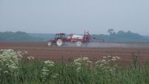  Les eurodéputés se sont exprimés avec une large majorité en faveur d'une disparition progressive du glyphosate dans l'UE d'ici fin 2022.  (©Terre-net Média)