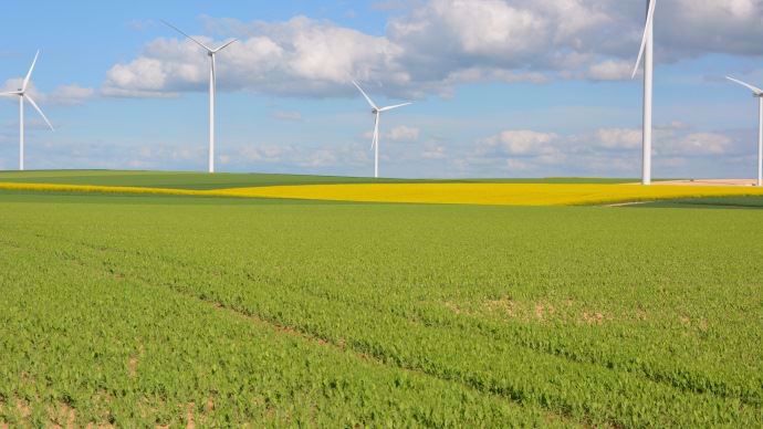 Paysage agricole au printemps.