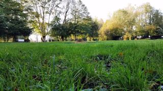 L'herbe doit être pâturée rase à l'automne afin d'affronter l'hiver et de repousser normalement au printemps suivant. (©Terre-net média) L'herbe doit être pâturée rase à l'automne afin d'affronter l'hiver et de repousser normalement au printemps suivant. (©Terre-net média)