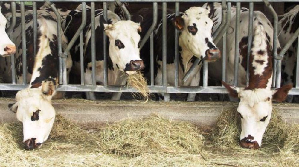 L'outil de rationnement Ideal system de Sanders se voit ajouter un nouveau critère nutritionnel : la PMS (©Sanders)