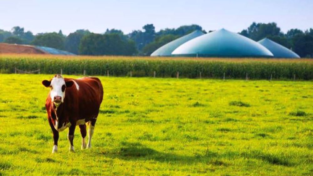 Avec l'augmentation de la part de gaz renouvelable dans la consommation française, la méthanisation agricole a encore de beaux jours devant elle ! (©GRDF, GRTgaz, SPEGN, TIGF)