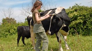 Suite à son accident, Ophélie (cette photo est une photo d'illustration, il ne s'agit pas d'elle) rencontre des difficultés lorsqu'elle s'occupe des vaches de ses parents, notamment pour la traite et l'alimentation des veaux. (©Cynoclub, Fotolia ) Suite à son accident, Ophélie (cette photo est une photo d'illustration, il ne s'agit pas d'elle) rencontre des difficultés lorsqu'elle s'occupe des vaches de ses parents, notamment pour la traite et l'alimentation des veaux. (©Cynoclub, Fotolia )