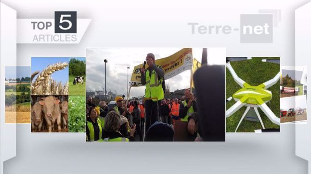 Articles les plus lus de la semaine sur Terre-net. (©Terre-net Média)