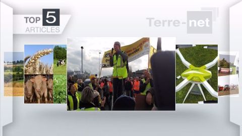 Articles les plus lus de la semaine sur Terre-net. (©Terre-net Média)