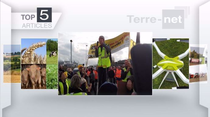 Articles les plus lus de la semaine sur Terre-net.   
